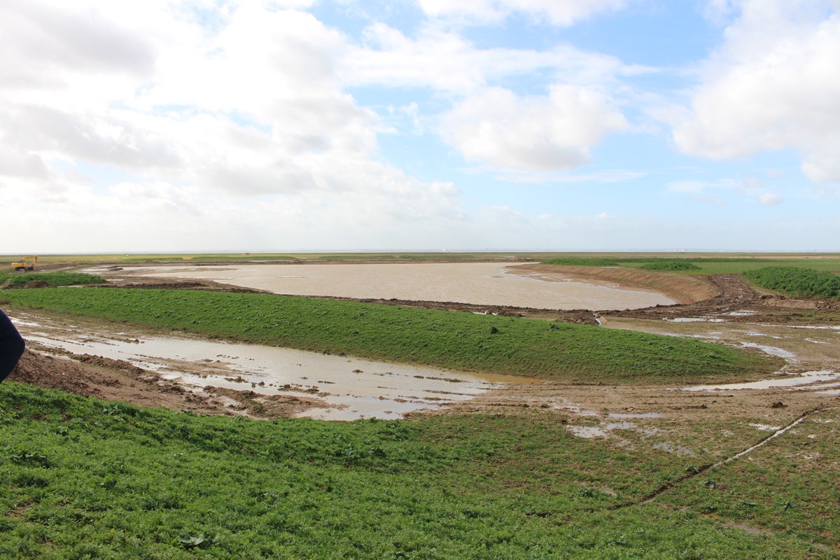 TrotmanCharlie's tweet photo. First visit to my second study site last week. Still in construction stage by amazing to see the scale of it! Going to be quite the task getting enough soil cores, especially when it's so windy!
#managedrealignment #rewilding #saltmarsh #conservation https://t.co/R8rIhDSvJj