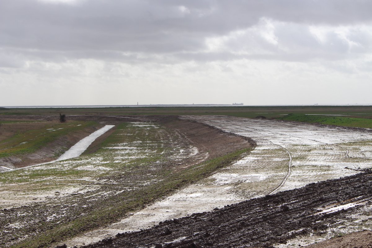 TrotmanCharlie's tweet photo. First visit to my second study site last week. Still in construction stage by amazing to see the scale of it! Going to be quite the task getting enough soil cores, especially when it's so windy!
#managedrealignment #rewilding #saltmarsh #conservation https://t.co/R8rIhDSvJj