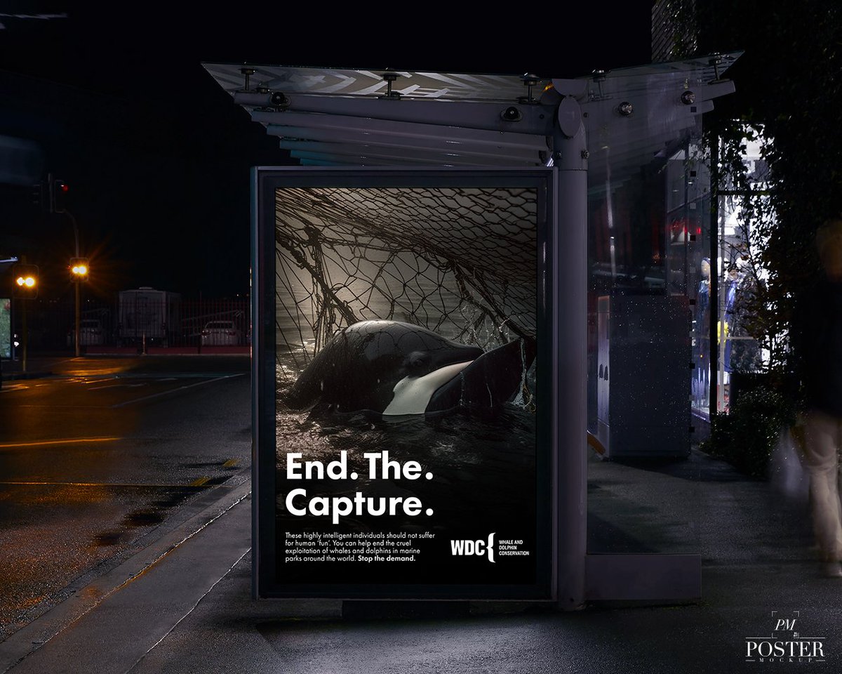 emstakingover's tweet image. One Minute Brief of the Day: 
Create posters to show that whales &amp;amp; dolphins shouldn't be in tanks, make people think twice before buying tickets to whale/dolphin shows &amp;amp; help 
@whalesorg
 #EndCaptivityForever 🐳
@OneMinuteBriefs