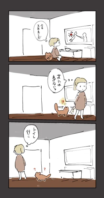 猫と朝 