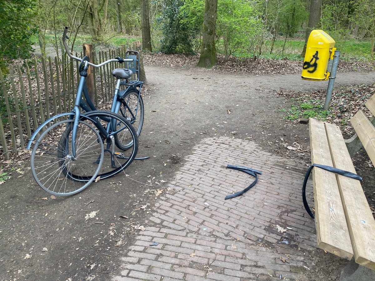 stevenophoff's tweet photo. @Gemeente_Zwolle bijzondere stalling in Prins Clauspark, thv de kinderboerderij. Mogelijk iemand z’n fiets kwijt? https://t.co/7qdVK0mcAs