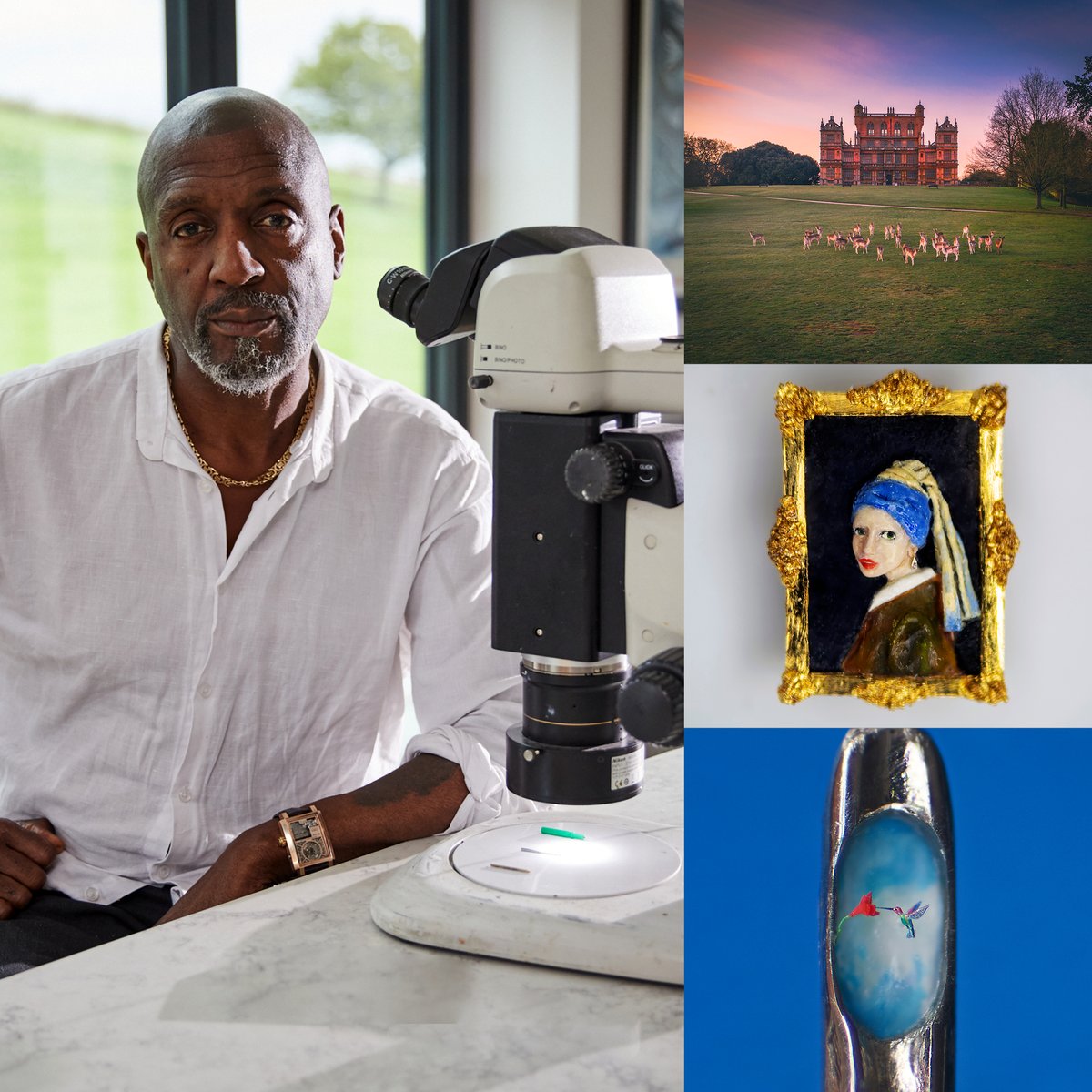 I am so blessed and honoured to announce that I will be exhibiting my work at Nottingham Natural History Museum, <a href="/WollatonHall/">Wollaton Hall</a> Opening Saturday 1st April #Miniaturemasterpieces #disapperingworld #exhibition