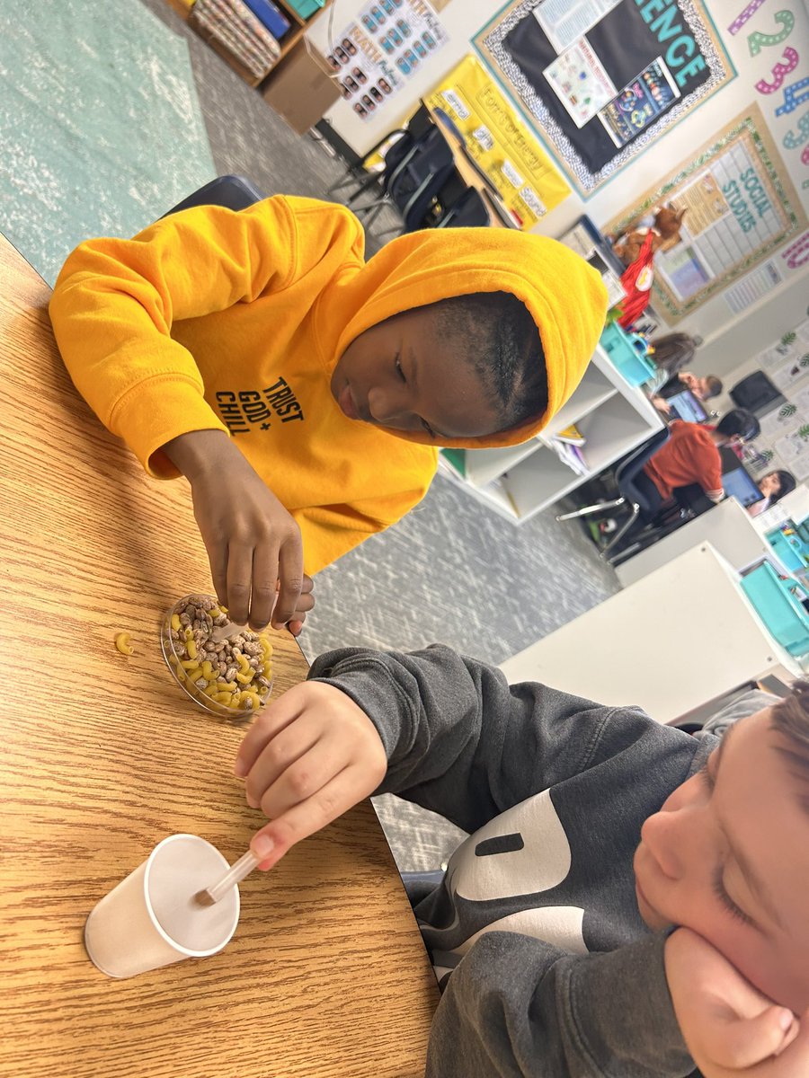 ms_campbelledu's tweet photo. Today we are exploring adaptations in bird beaks! These 3rd graders are having so much fun! @Robertson_Elem #RobertsonUbuntu https://t.co/5W3NoH0e1y