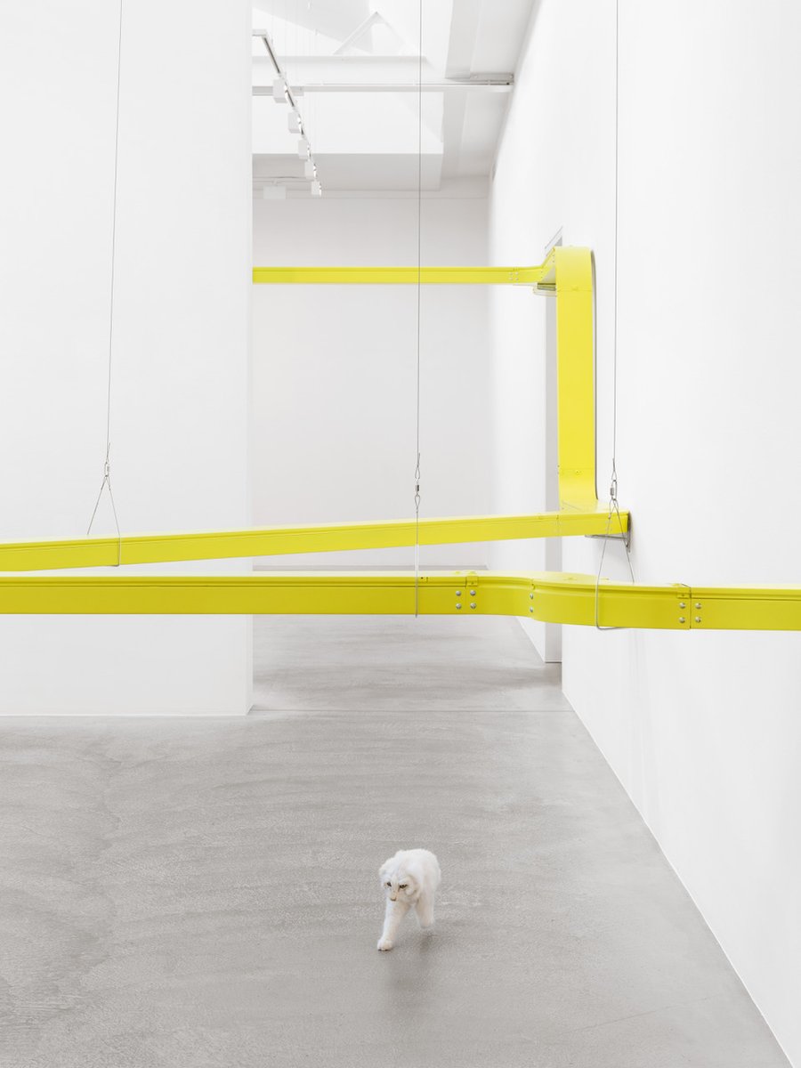 ArtissimaFair's tweet photo. Today we meet the third METAmorphosis artist: EVA & FRANCO MATTES (@apalazzogallery), with the project HALF CAT - A COPY IN MOTION
► Discover more ► https://t.co/DqmtH8uB4t
-
#Artissima @OgrTorino @fondartecrt #Artshell #LCAstudiolegal #Revibe.Studios https://t.co/Ub6E0FcNUn