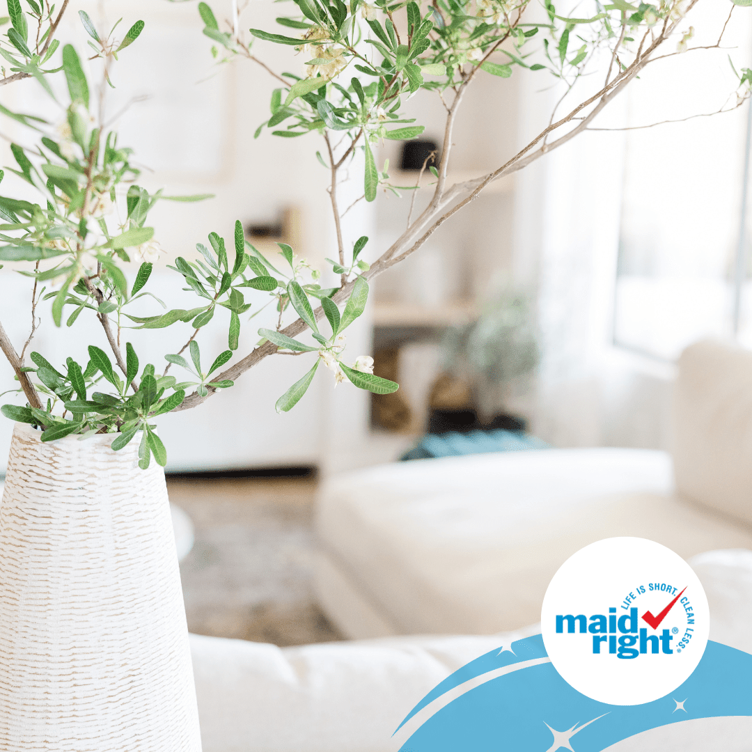 Enjoy peace of mind knowing your home is always clean and inviting. Contact us to learn about our recurring services at Maid Right.
.
.
#maidright #cleaning #cleaningservice #maidservice #getactive #getclean #nature #freshstart #loveyourspace #clean #cleanyourspace #local