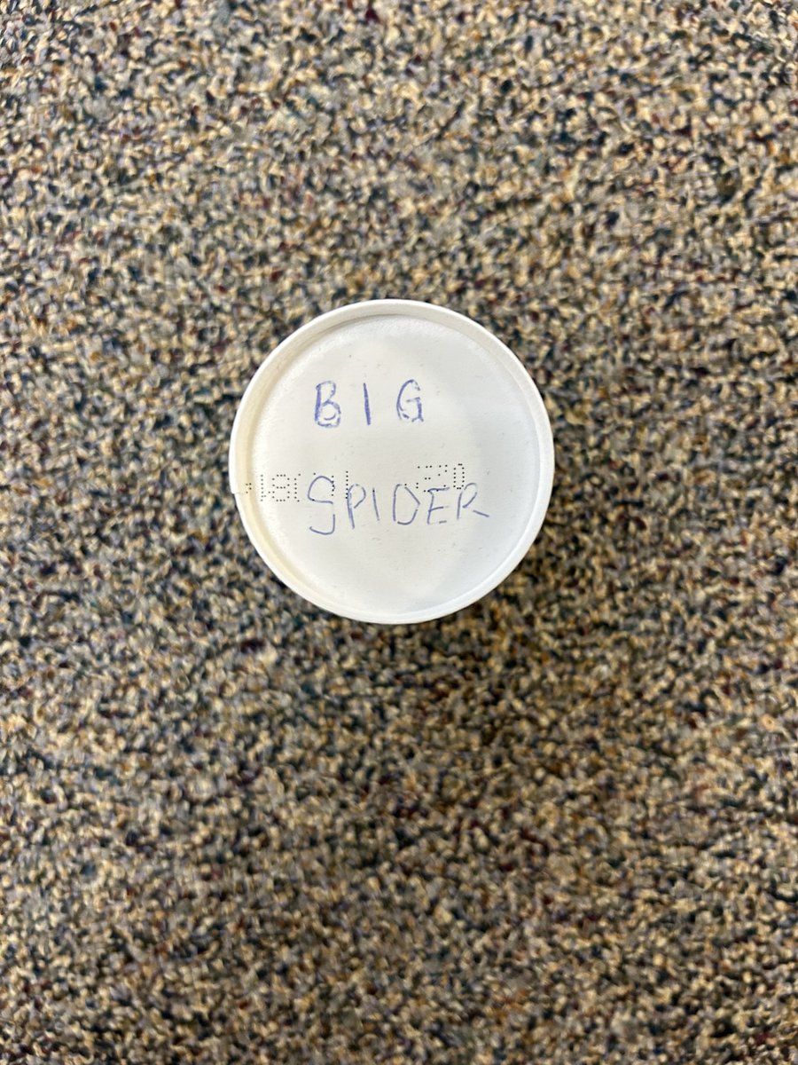 SCFRDPIO's tweet image. Just we thought they’d moved on…