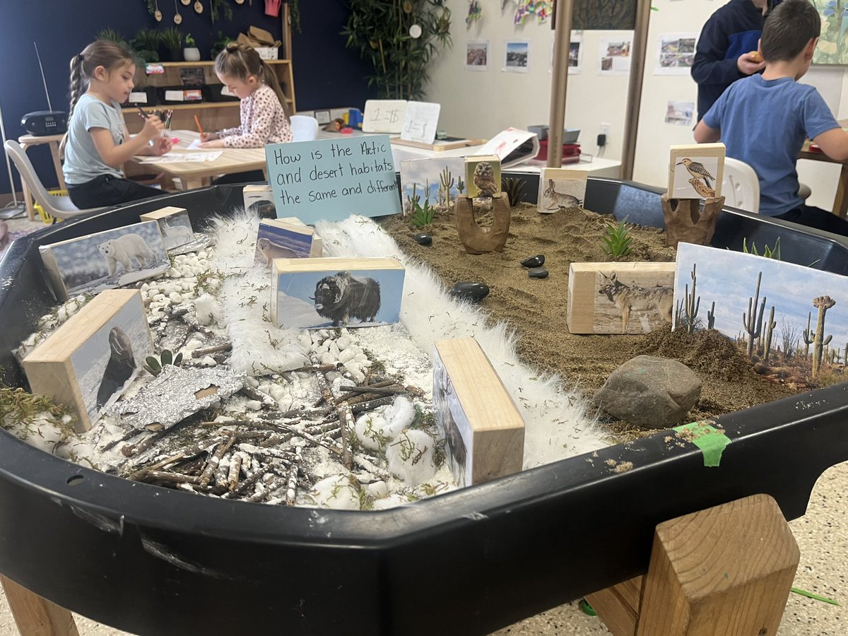 MsRose528's tweet photo. Tuff tray exploration of different habitats in Grade 1 this week! How are these two habitats the same? How are they different? What do the animals need to survive? It has been interesting to see the play that has come out of this invitation. https://t.co/3y2A7SUlI0