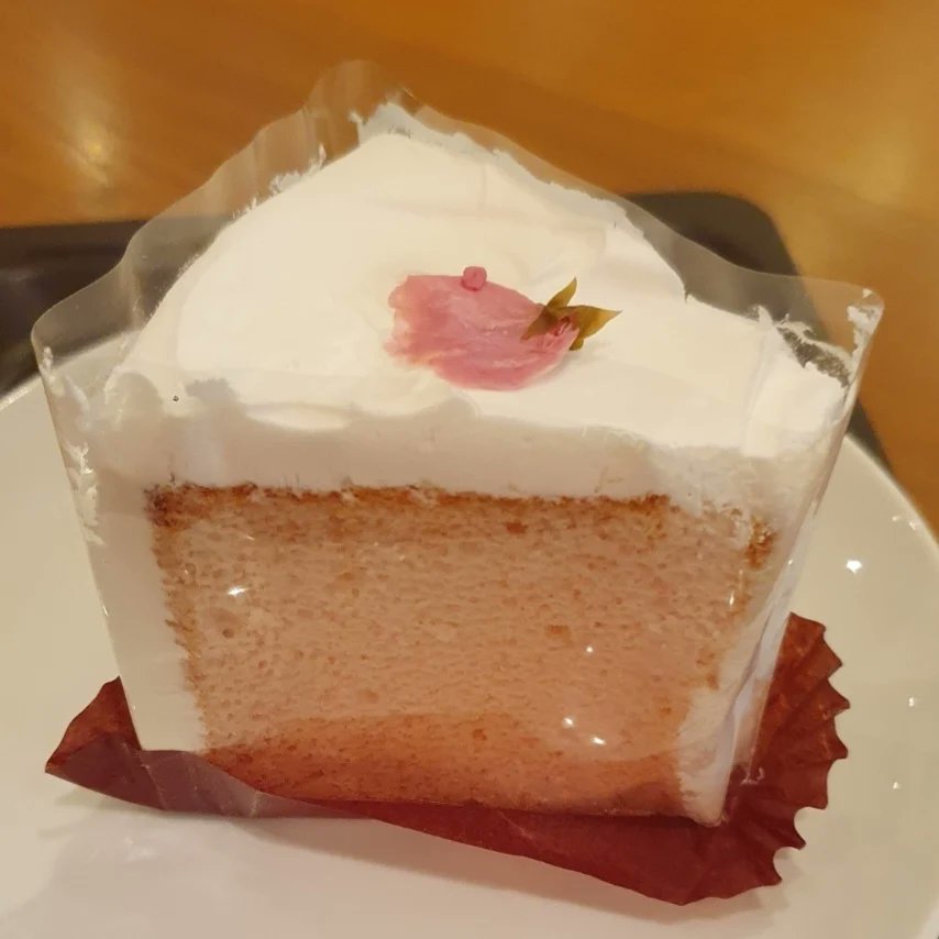 zoe__morris's tweet photo. Cherry blossom season is the best season 🌸 So grateful to be in Japan right on time to view the Sakura in all their glory (and try the cherry blossom flavoured cake and ice cream 😋) #worktrip
#cheerleading #cheerjudgelife #Japan #tokyo #sakura #cherryblossom #omiya https://t.co/0aYqCN8ZYb