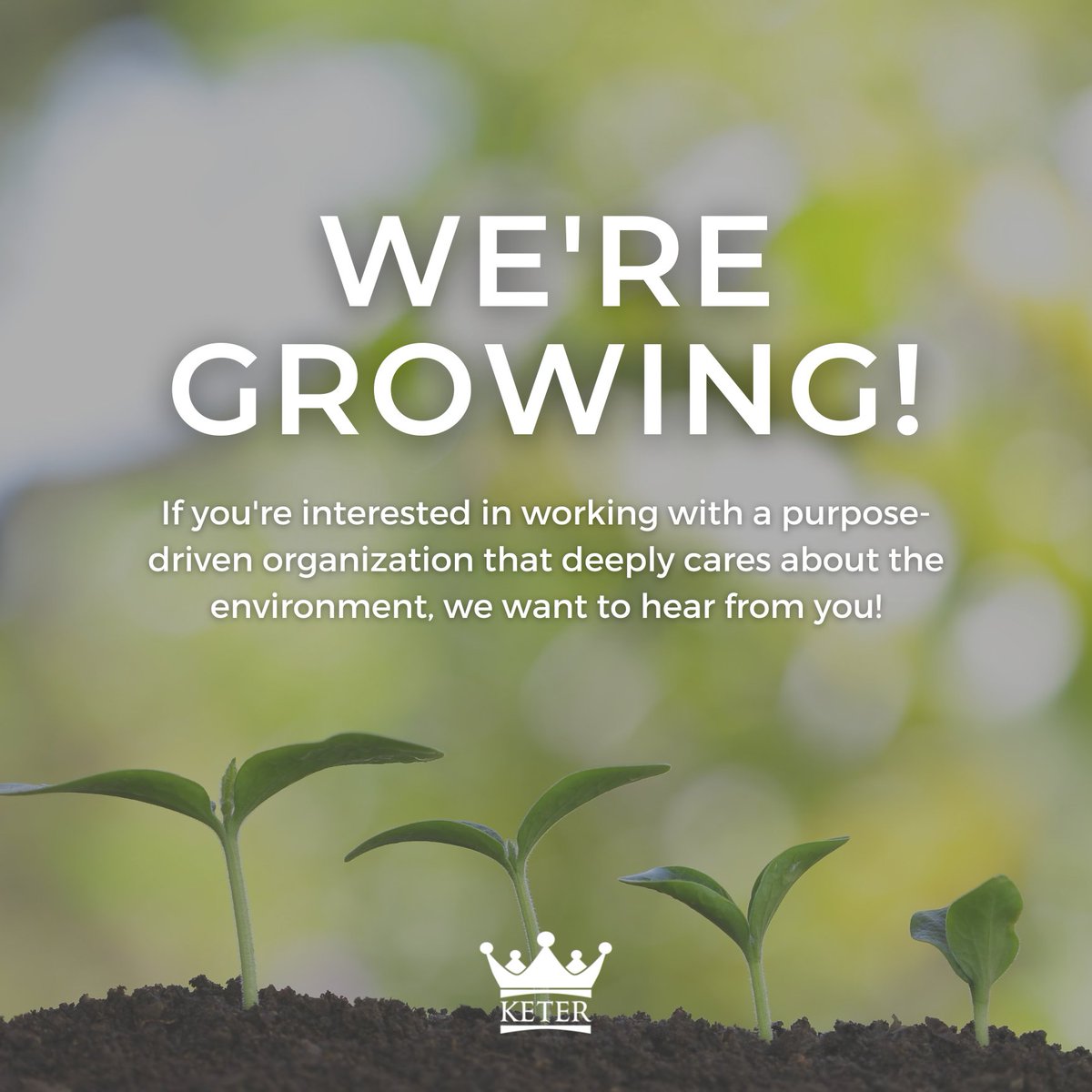 Are you or is someone you know interested in working with us at Keter? Apply today - hubs.ly/Q01Hvpmj0

#hiring #sustainability #sustainableaction #recycling #recyclingmanagment #gogreen #esg #ecofriendly #sustainablebusiness #greenfuture #sustainablesolutions #zerowaste