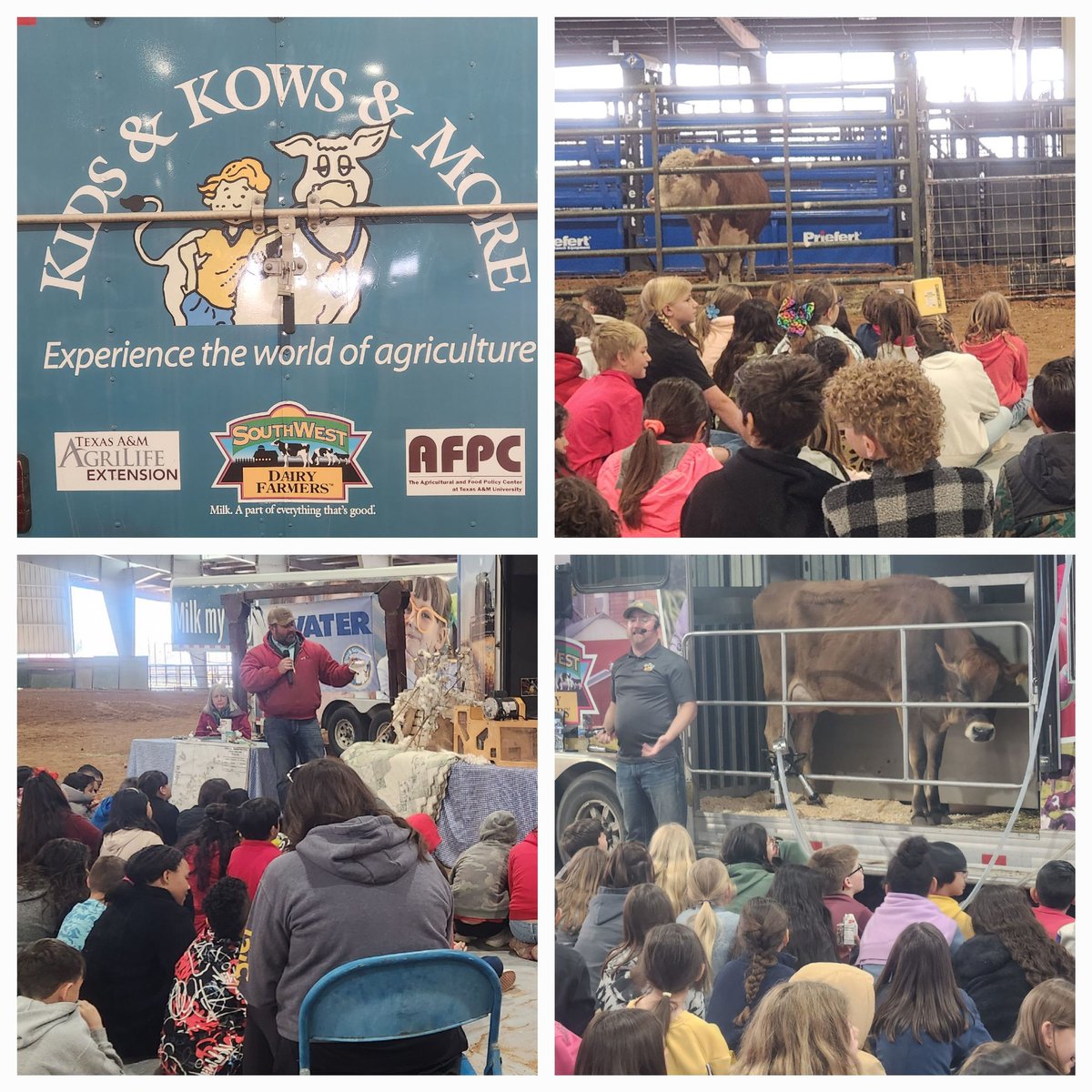 Ector County ISD Science (@ecisdscience) on Twitter photo Kids, Kows and More is ready for Day #2... More <a href="/EctorCountyISD/">Ector County ISD</a> students are getting a real-life experience of where the major components of life come from. #ECISDdoesSCIENCE <a href="/drliliananez/">Dr. Lilia Nañez</a> <a href="/ECISD_T2L/">Curriculum & Instruction</a> <a href="/HaysSTEAMshines/">Hays STEAM Academy</a> <a href="/BlackshearElem2/">Blackshear Elementary School</a> Kids, Kows and More is ready for Day #2... More <a href="/EctorCountyISD/">Ector County ISD</a> students are getting a real-life experience of where the major components of life come from. #ECISDdoesSCIENCE <a href="/drliliananez/">Dr. Lilia Nañez</a> <a href="/ECISD_T2L/">Curriculum & Instruction</a> <a href="/HaysSTEAMshines/">Hays STEAM Academy</a> <a href="/BlackshearElem2/">Blackshear Elementary School</a>