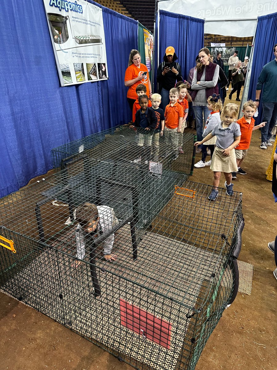LASeaGrant's tweet photo. Students make their way through the crab crawl as they experience what it feels like to be a blue crab. #LaSeaGrant is at #AgMagic today teaching students about a few #seafood species found in #Louisiana - crabs, oysters and crawfish. https://t.co/G4hYxgTOqV