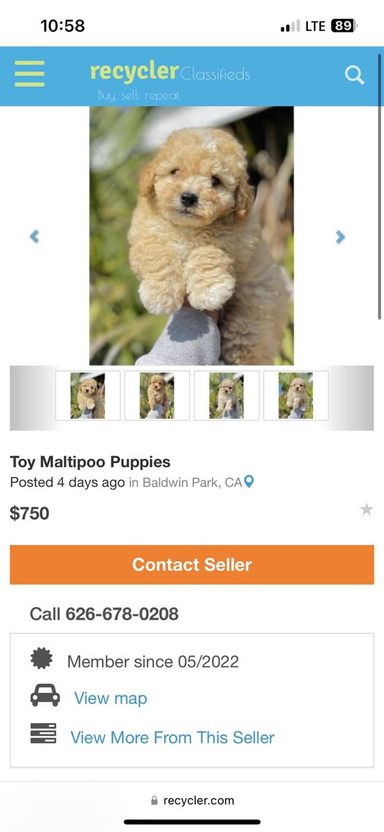 ocean_locher's tweet photo. Please spread the word to get this puppy mill shut down. They posted about receiving 4 new puppies last night. These dogs deserve justice😪 each post has a different phone number but the same woman always answers. https://t.co/cdlq9q0HXs