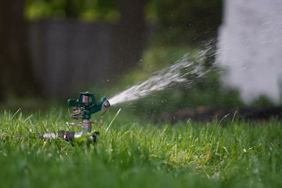 TopTray's tweet photo. Spring Lawn Care Tips for a lush and healthy lawn in 2023 https://t.co/zb6FEzgJ9c https://t.co/GtuJJiKXK2