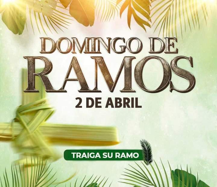Fabian81RC's tweet photo. Lleva tu ramo o palma. Universal Chalma. Ave. Benito Juárez 193. Col. San Lucas Patoni. A un costado de la gasolinera. Te esperamos https://t.co/ofJXeb1VJH
