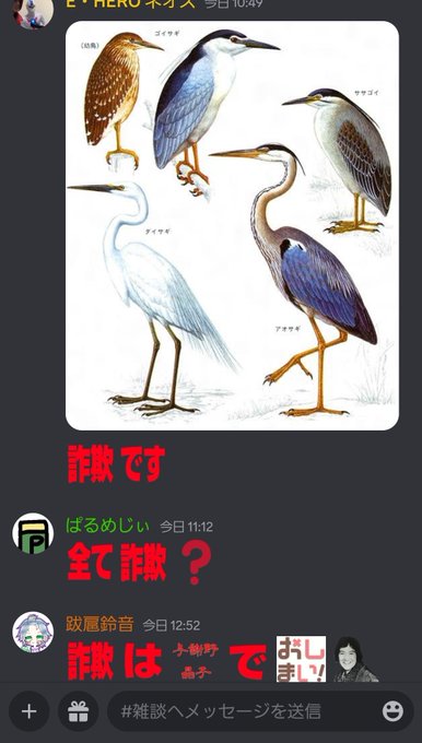 何これは 
