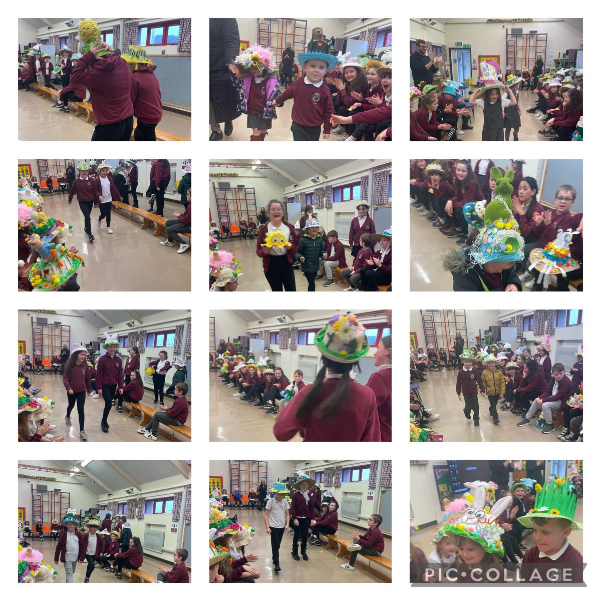 Rhigos Primary tweet media