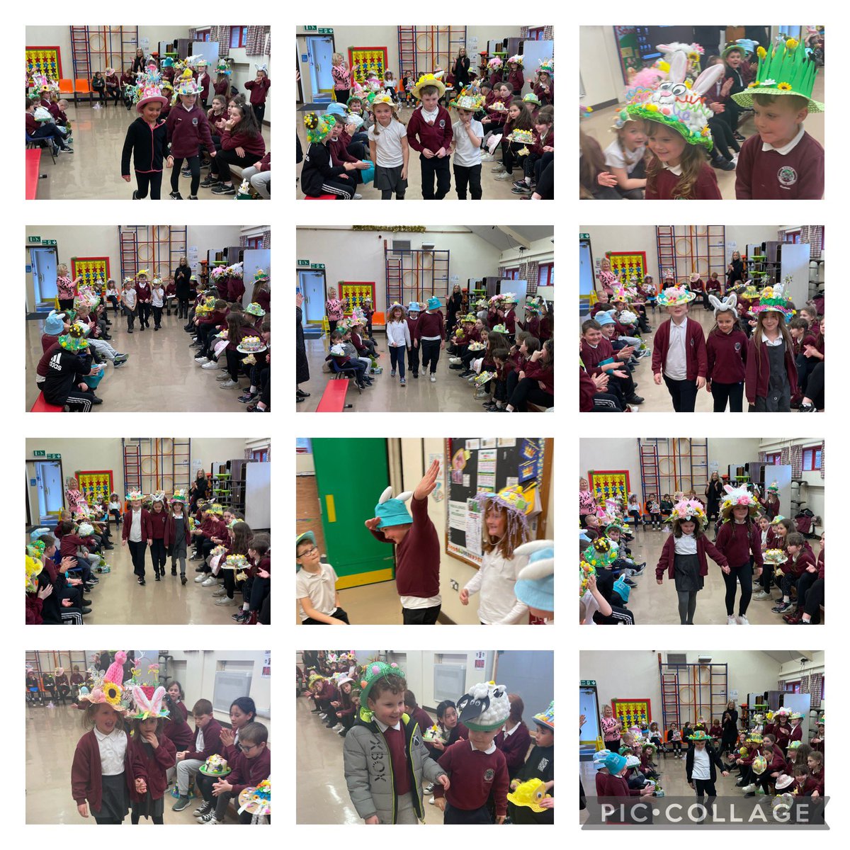 Rhigos Primary tweet media