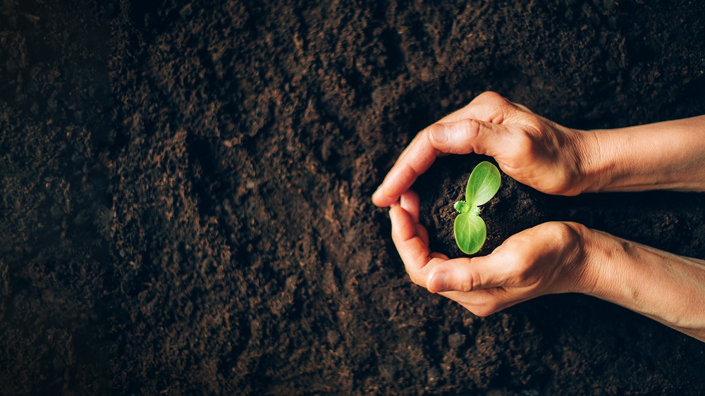 ICMIF (@icmif_web) on Twitter photo Registration is now open for the ICMIF Sustainability Summit. Bringing ICMIF members together from around the world to discuss/share best practices in sustainable investments, resilience & underwriting. 1-2 Nov 2023, London, hosted by <a href="/avivainvestors/">Aviva Investors</a>
icmif.org/icmif-sustaina… Registration is now open for the ICMIF Sustainability Summit. Bringing ICMIF members together from around the world to discuss/share best practices in sustainable investments, resilience & underwriting. 1-2 Nov 2023, London, hosted by <a href="/avivainvestors/">Aviva Investors</a>
icmif.org/icmif-sustaina…