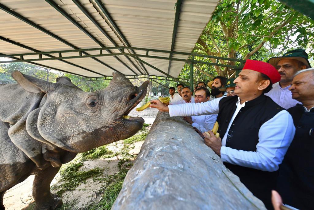 yadavakhilesh's tweet photo. कानपुर प्राणी उद्यान। https://t.co/mgdxFEIZKO