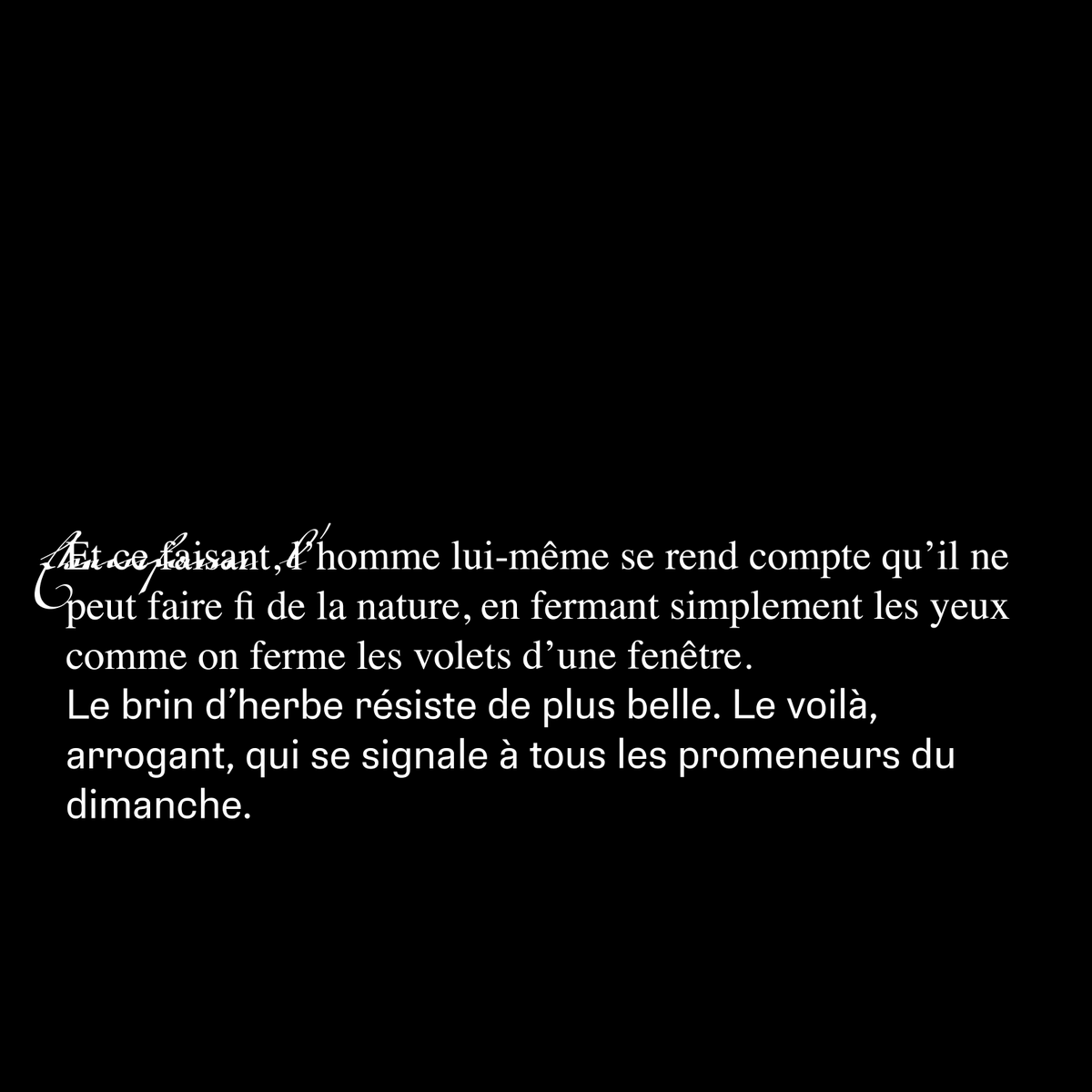 ArdentRevue's tweet photo. D’OÙ NOUS VIENT CE BESOIN DE NATURE ? 

Le dernier article de société

à lire sur https://t.co/zu6wdpg41v

#jadoreardent 
#besoindenature https://t.co/UblxOHjW5p