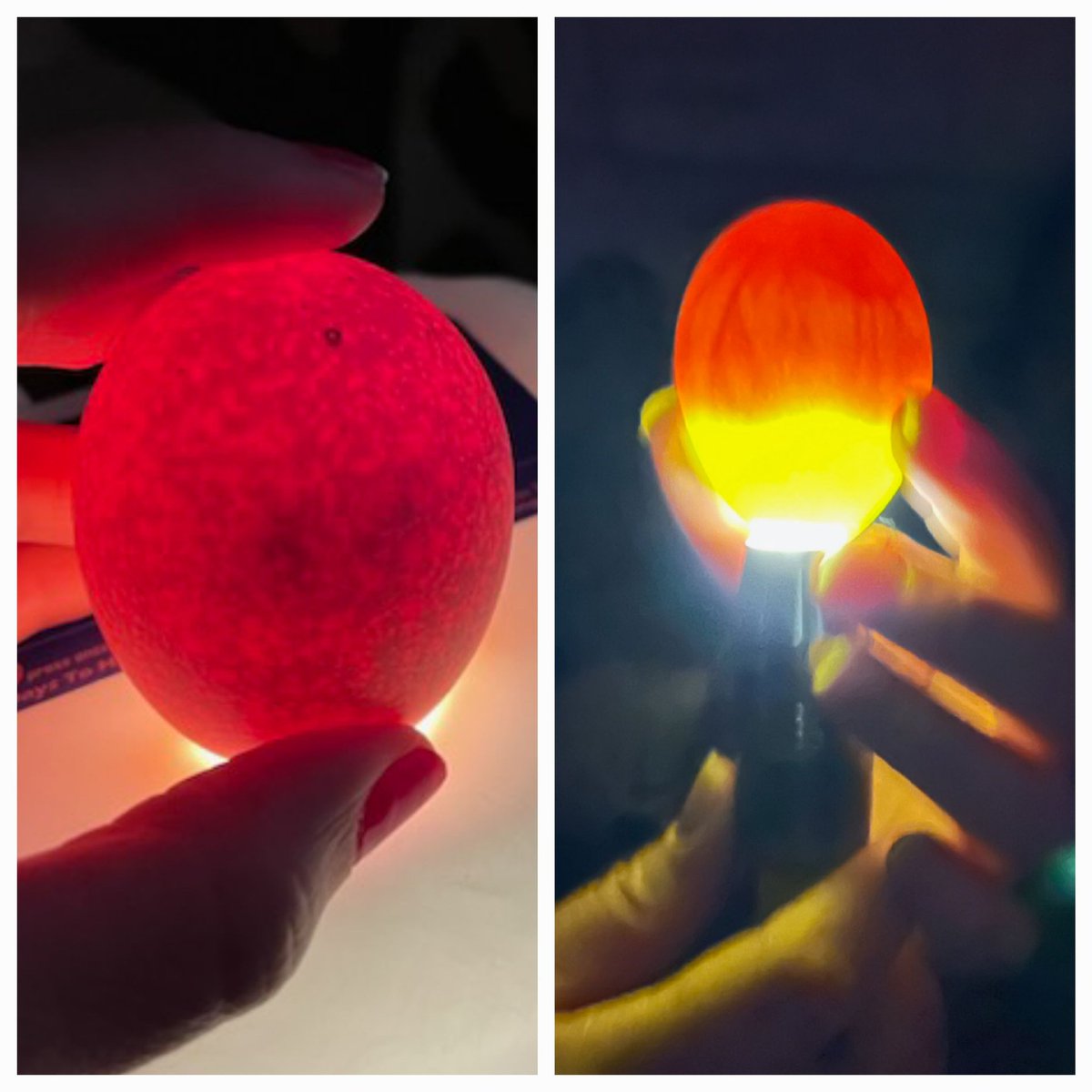 It's candeling day #1 for our @EctorCountyISD Hatching the Classrooms... what better way to view lifecycles than in real life. 2 more weeks until we get to meet our baby chicks! 🥚🐣🐥#ECISDdoesSCIENCE @drliliananez @ECISD_T2L