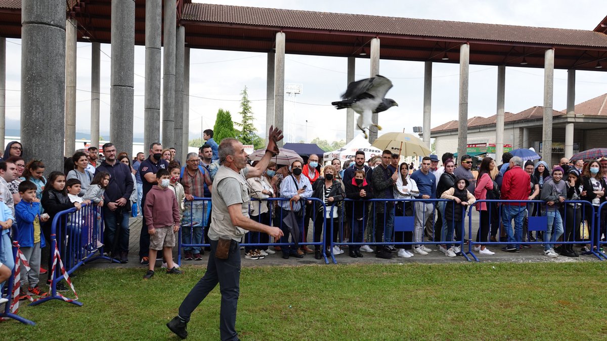 SemanaVerde's tweet image. Seguindo coa presentación dos nosos salóns, coñecedes o espazo de caza, pesca e natureza, #Fecap Abanca? En 2023 celebra a 9ª edición
--
Siguiendo con la presentación de nuestros salones, conocéis el espacio de caza, pesca y naturaleza, Fecap Abanca? En 2023 celebra la 9ª edición