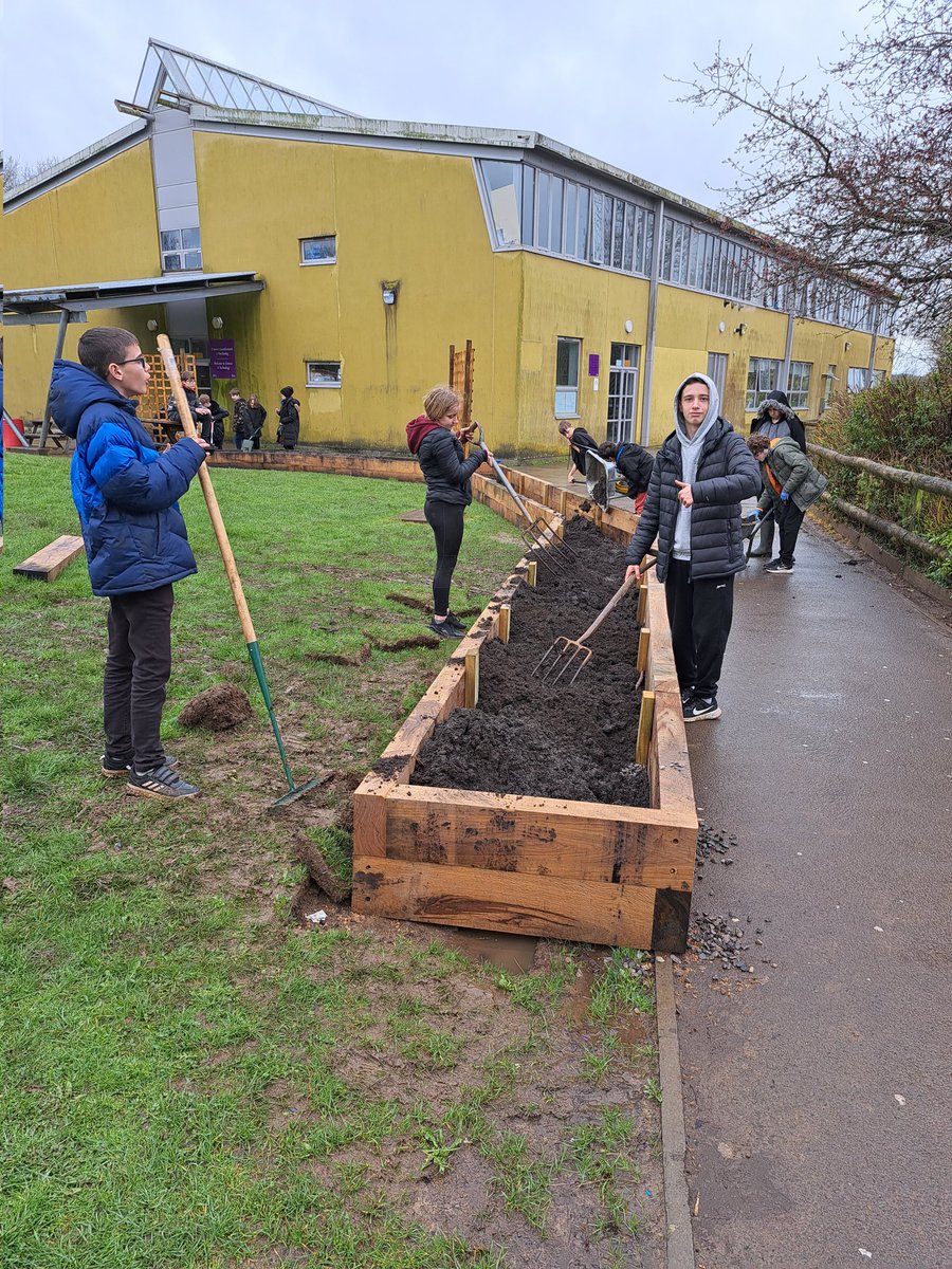 The rain hardly stopped, but the @DyfodolBrynteg1 pupils worked their socks off today on their #LocalPlacesforNature project. Amazing job getting the raised bed filled ready for planting tomorrow.