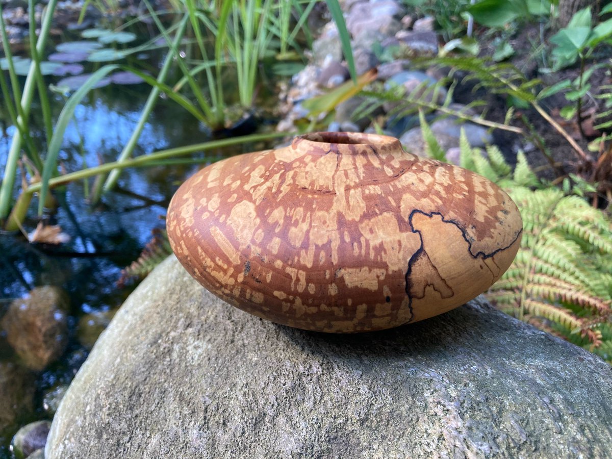 BergwerkD's tweet photo. small set made from spalted birch consisting of a hollw vessel and a bowl.
#wood #woodworking #woodwork #woodworker #woodart #wooddesign #woodlathework #woodlatheworker  #holz #holzdeko #holzdesign  #drechseln #drechsler #hamburg #germany https://t.co/mLShhhah6z