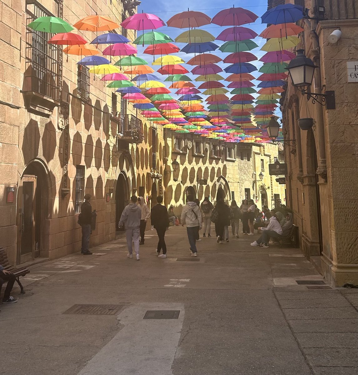 Beeston Hall Sport tweet media