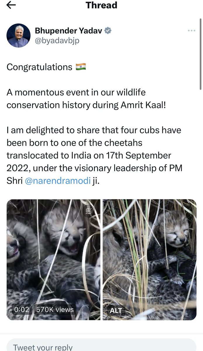 Animals have been mating under the visionary leadership of Mr Modi. Environmentalist award definitely in the offing