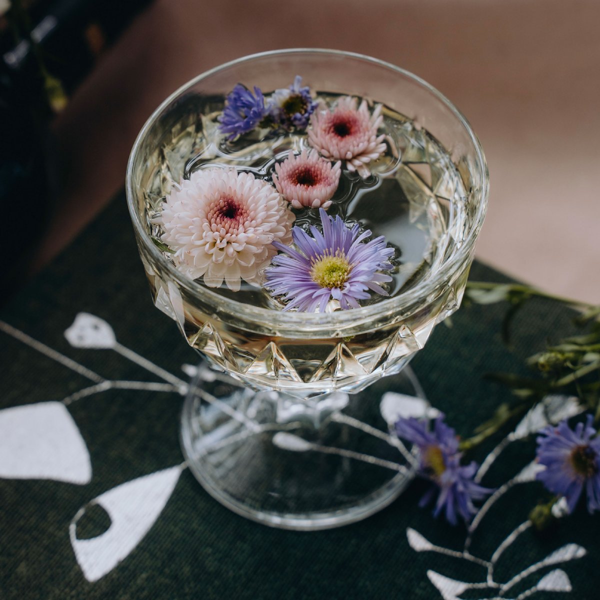 Enjoy a glass of Texas' Best at home or out on the town. 🍷 Find our wine at a store or restaurant near you!
llanowine.com/find-our-wine/