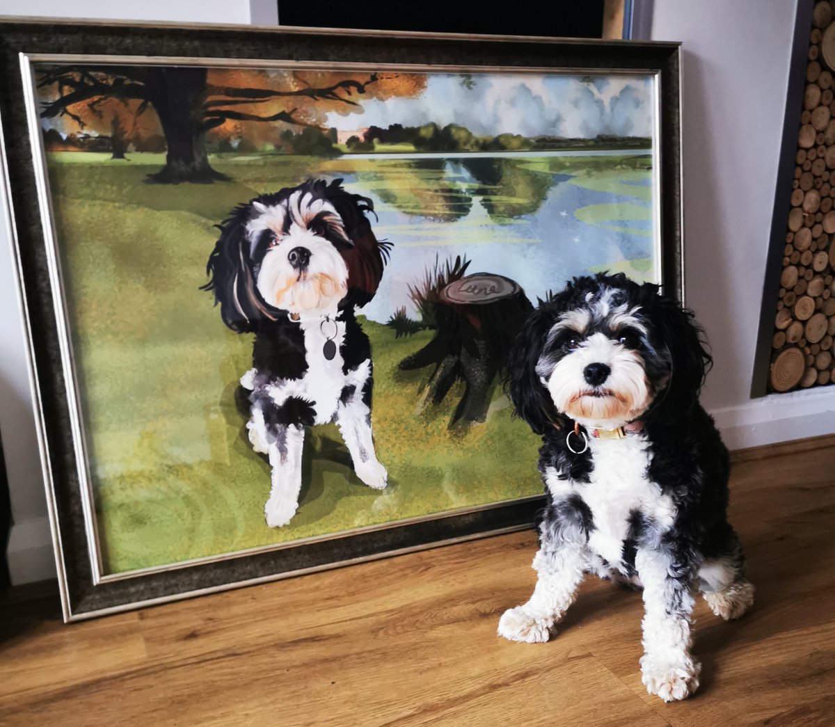 Luna ✨🐾This beautiful girl is the apple of her human’s eye❤️✨🐾. Seen here modelling alongside her portrait like a pro #Higgledyinkselfie. I loved doing her portrait with her gorgeous highlights - she is located in her favourite walking spot @corshamcourt