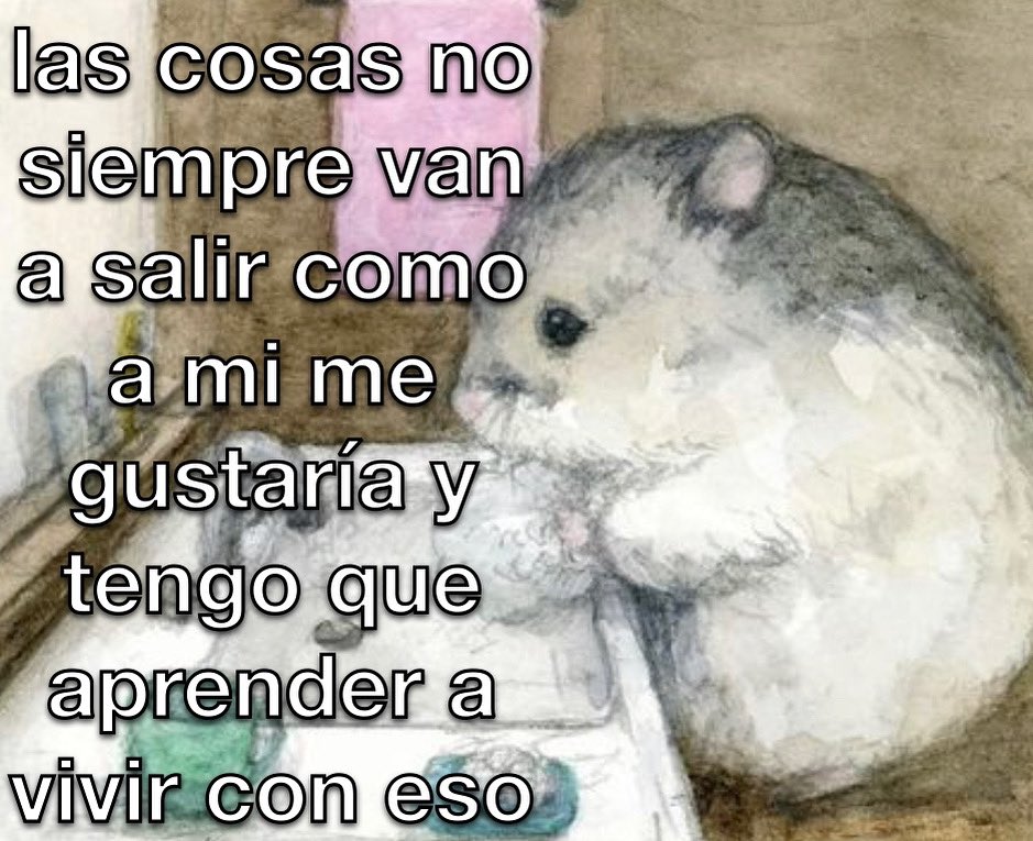 conoloracigarro's tweet photo. Buenos días https://t.co/lzMMo4q0gr