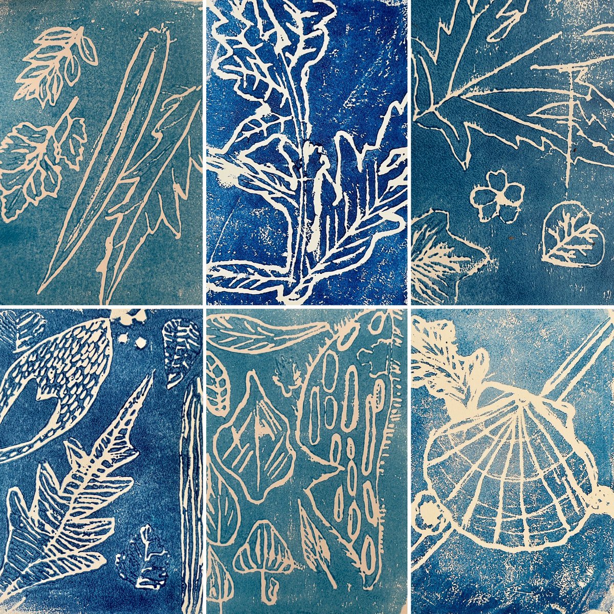 Today I led a Year 4 Art session across our Trust. Taking inspiration from the botanist #AnnaAtkins and the beautifully illustrated ‘The Bluest of Blues’ by Fiona Robinson, I’m pretty chuffed with how well their artwork turned out. Not bad for their first attempt at printing, eh?