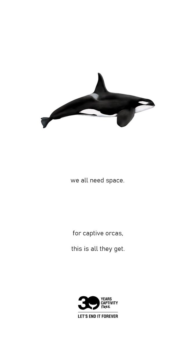 @whalesorg @OneMinuteBriefs 
#EndCaptivityForever 🐬🐋