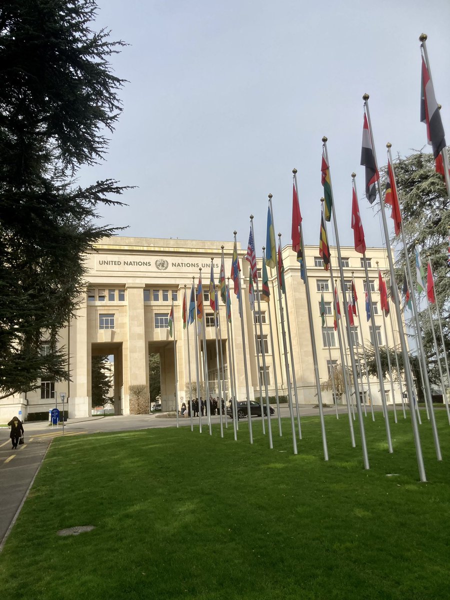 CityDiploLab's tweet photo. Today, #CityDiplomacyLab’s director @KihlgrenGrandi opened the Regional Forum on Sustainable Development’s round table on #citydiplomacy at @UNGeneva
@un_ece @unecehlm @cgcparis #RFSD #SDG11 https://t.co/I5sx2IDmV2