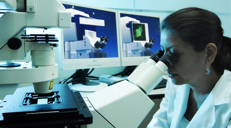 #Entrevista | <a href="/cytdanmarys/">Danmarys Hernández</a> informó que Venezuela se ubica entre los primeros cinco países del mundo con mayor participación de las mujeres en la ciencia y tecnología.

Conoce todo los detalles por👉bit.ly/40D1ROc

#CienciaHechaMujer #CienciaSoberana
