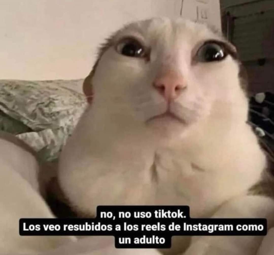 memefeos's tweet photo. https://t.co/ssjC0lv6D8