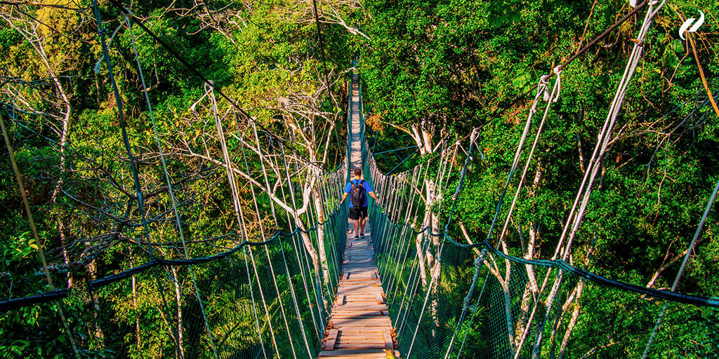 MetroTouring's tweet image. ¿Sabías que la selva peruana🌴tiene dos destinos impresionantes?
✔️ Puerto Maldonado, donde inician los viajes a bellos paisajes vírgenes
✔️ Iquitos, el puerto del Río Amazonas y hogar del delfín rosado

¡Conoce más aquí! bit.ly/3SxHZZG
#selvaperuana #peru #tipsdeviaje