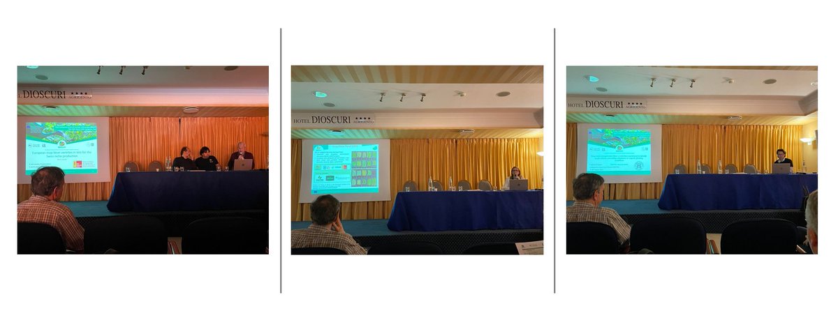 BRESOV_EU's tweet photo. #BresovEU snap bean🫘 crop group session started with a keynote speech by James R. Myers, Oregon State University, USA which was followed by project partners' presentations on the key results.
#organicfarming #organicagriculture #snapbean #research #innovation https://t.co/aQgMPh1JTD