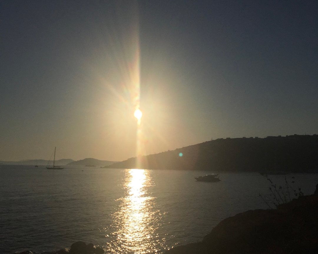 shopModernLusso's tweet photo. Golden hour ☀️ https://t.co/efrKJDqgf9
