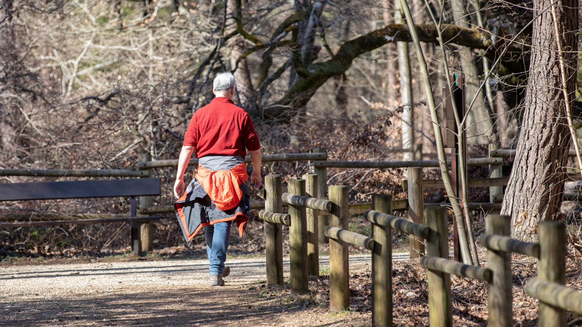 GrandReims's tweet photo. Mercredi 5 avril à 14h, participez à la sortie ''Mares forestières'' en forêt de #Verzy. Une sortie d'exception pour vous faire découvrir la richesse et la #diversité des mares en #forêt, de leur origine à leur rôle #écologique ! => Infos et inscriptions : https://t.co/WOJzNebdGv https://t.co/rVHKCqOwhx
