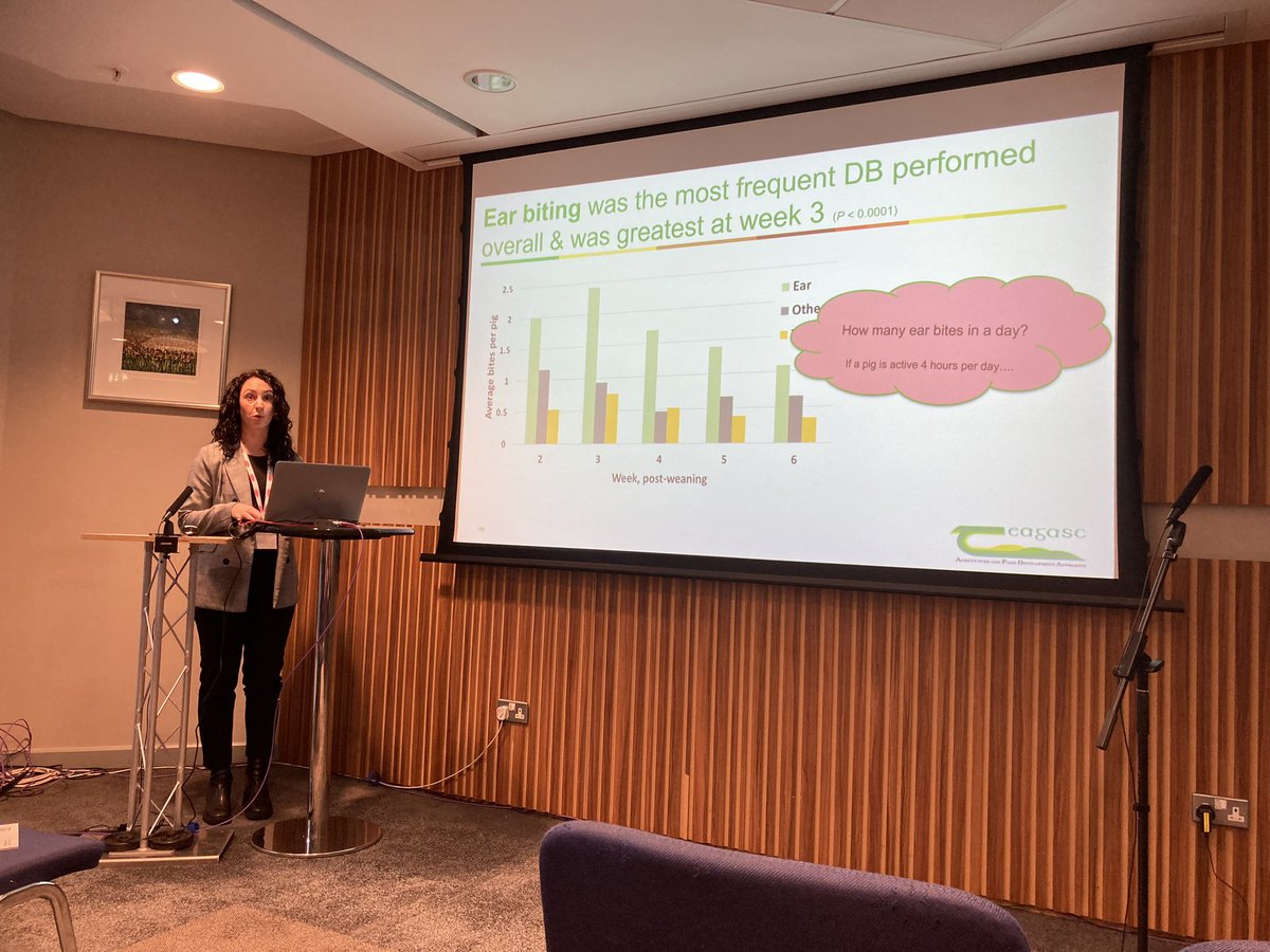 LABoyle2's tweet photo. Lucy Markland @TeagascPig ๐ทpresents ear necrosis findings from #earwel project. So much #earbiting #damagingbehaviour ๐ซ #BSAS2023 https://t.co/PDDDDmo7k0