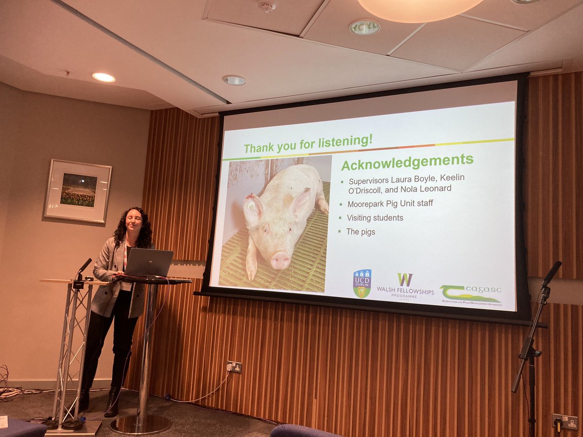 LABoyle2's tweet photo. Lucy Markland @TeagascPig ๐ทpresents ear necrosis findings from #earwel project. So much #earbiting #damagingbehaviour ๐ซ #BSAS2023 https://t.co/PDDDDmo7k0