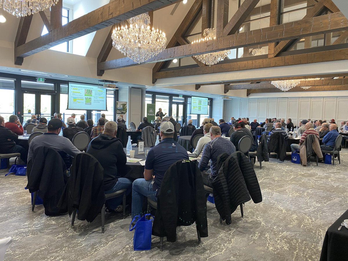 Valerie Stone tweet media