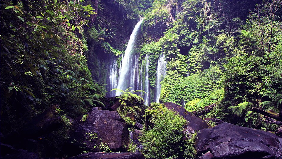 Ambient Piano Music For Study And Concentration - Beautiful Rainforest
Video Link: youtu.be/k5d2g5i96Bk
Please support me by pressing like👍(if you like the video), share, and subscribe to my YouTube channel. Thank you.🙂#rainforest #relax #calming #naturelovers #nature