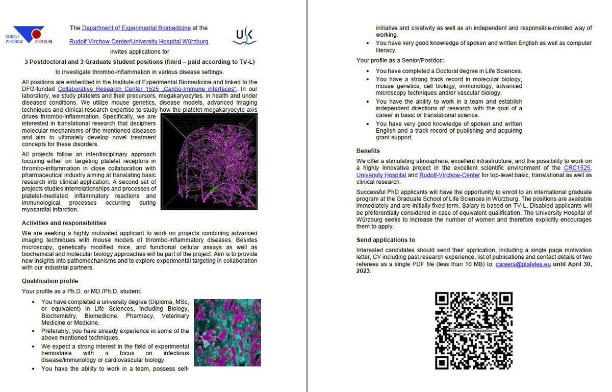 Job Alert! 🚨 Interested in high-end 🔬, basic or translational science in thrombo-inflammation? Join us❗ #WuerzburgPlateletGroup platelets.eu/jobs/immune-ce…