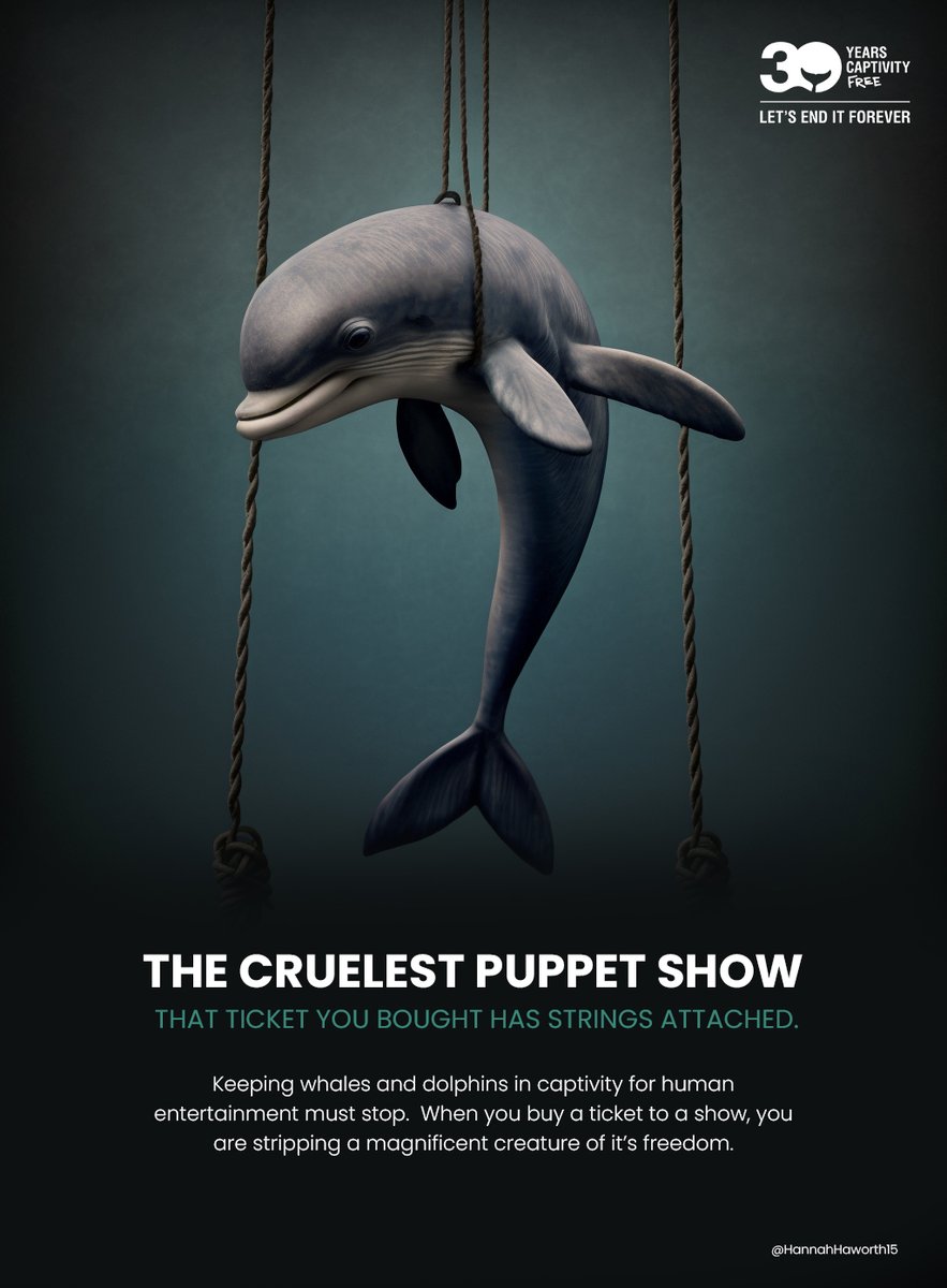 The cruelest puppet show... 
@whalesorg
 #EndCaptivityForever 🐳 
@OneMinuteBriefs
