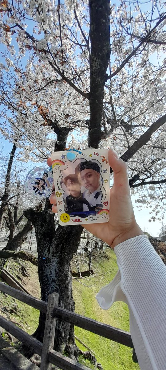 Busan_Shounen's tweet photo. Spring, birthday and you❤️🌸
Thanks for filled my days https://t.co/xIMCDNWqBB