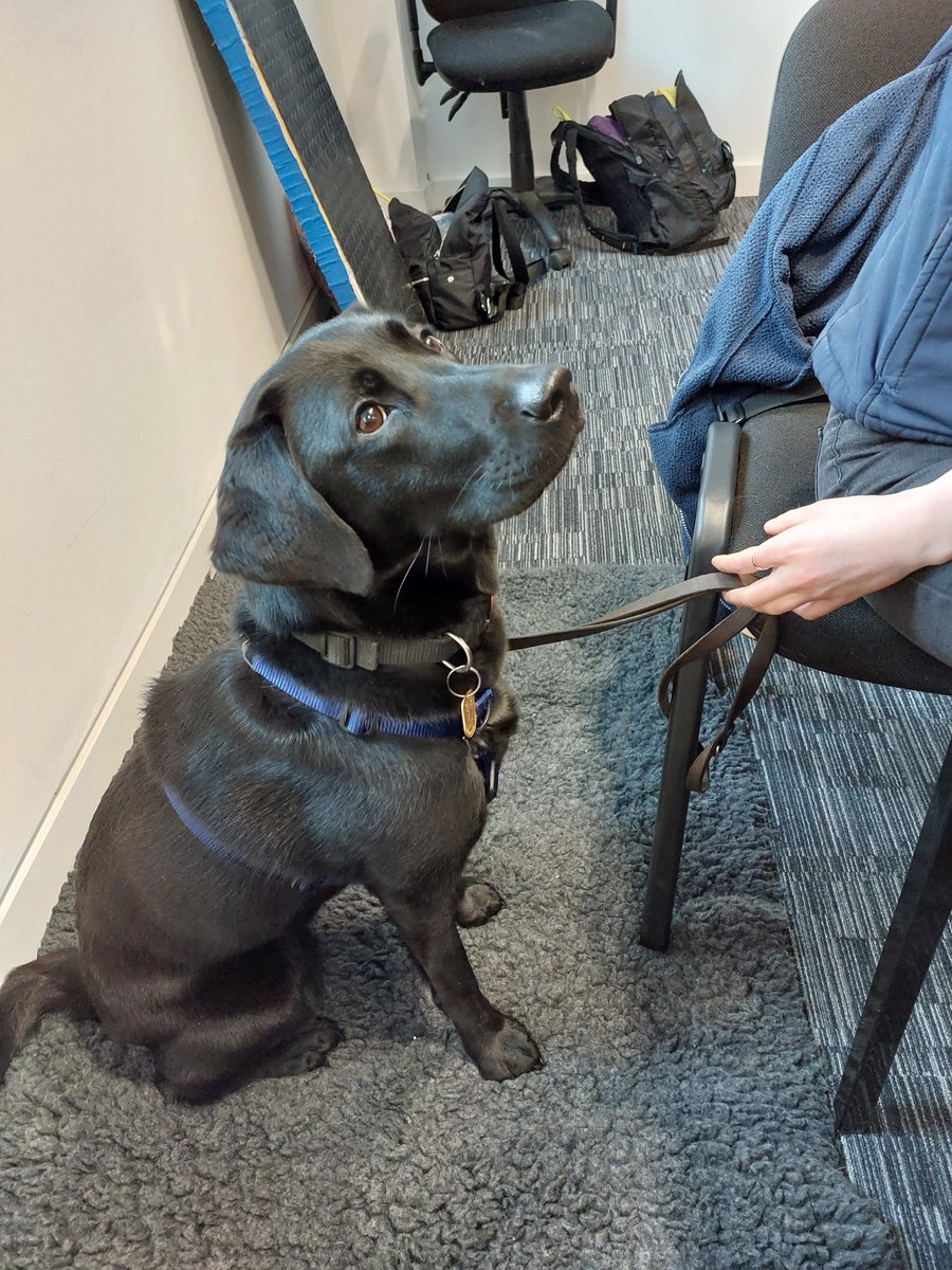 Louise Loxton tweet media